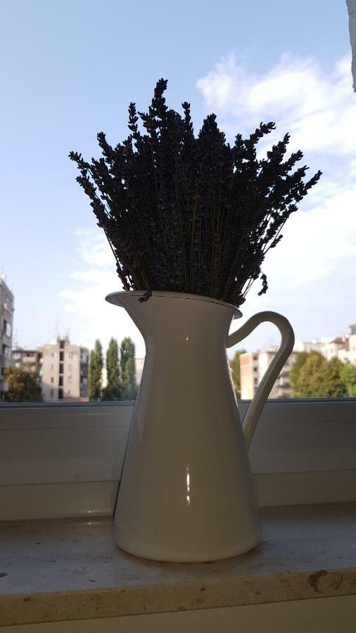 Citylux Apartments Zagreb Ngoại thất bức ảnh